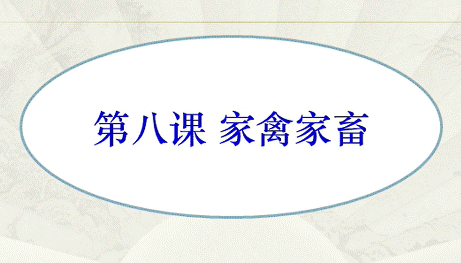 滇南彝语文_第八课家禽家畜