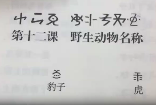 新平县彝语尼苏话12(孙红梅)