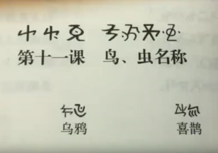 新平县彝语尼苏话11(孙红梅)