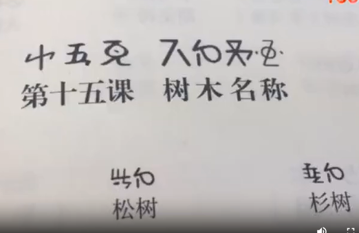 新平县彝语尼苏话15(孙红梅)