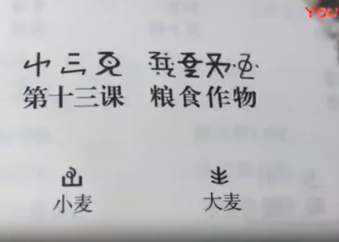 新平县彝语尼苏话13(孙红梅)