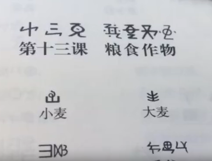 新平县彝语尼苏话14(孙红梅)