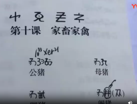 新平县彝语尼苏话10(孙红梅)