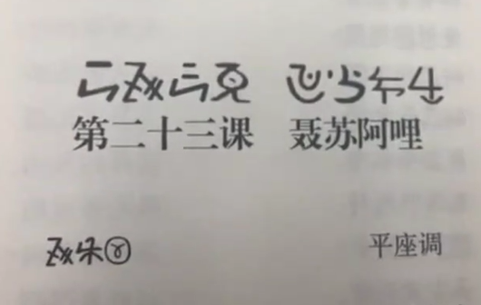 新平县彝语尼苏话23(孙红梅)