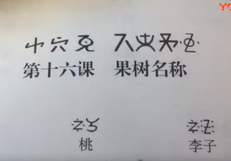 新平县彝语尼苏话16(孙红梅)