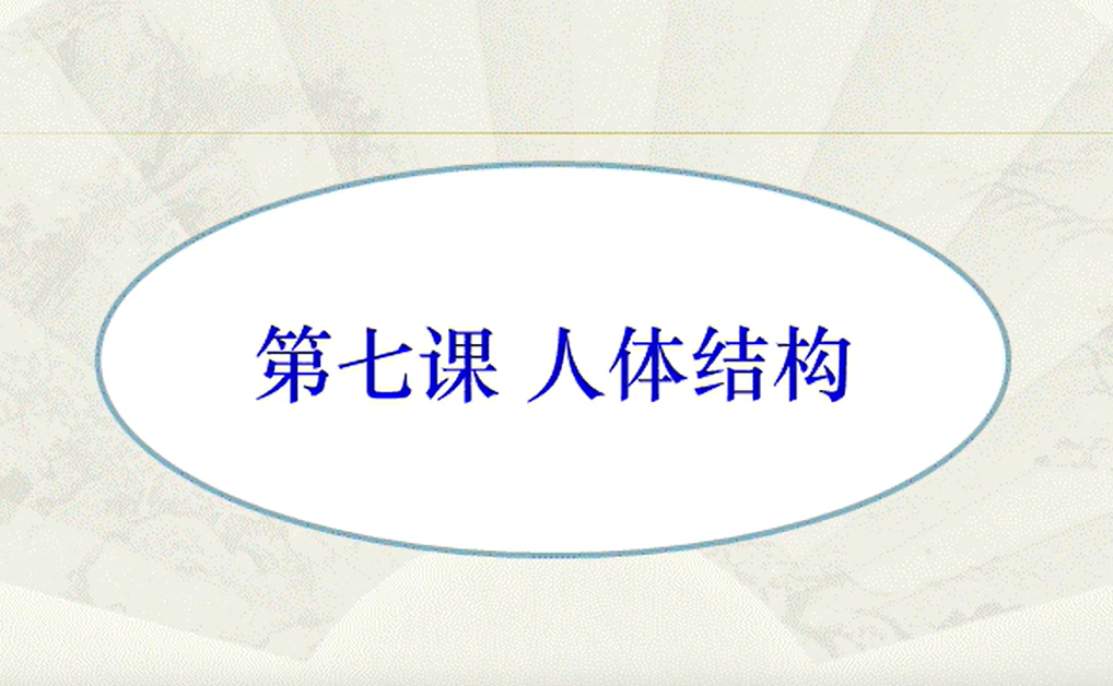 滇南彝语文_第七课人体结构