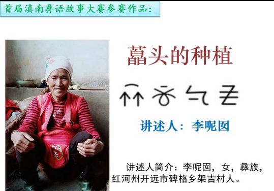 滇南彝语故事大赛作品：《藠头的种植》(开远李呢囡)