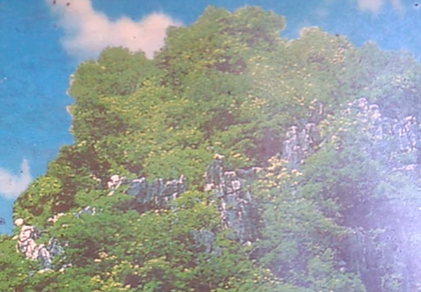 滇南彝语故事大赛作品：《新平老厂大山的故事》(新平施朝峰)